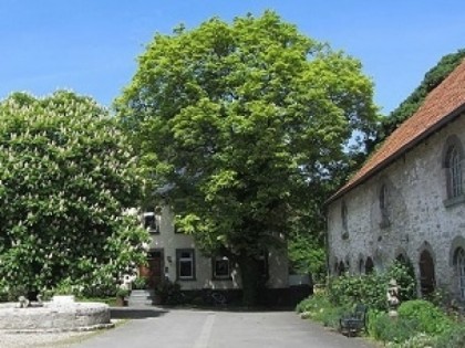 照片: Loagshof